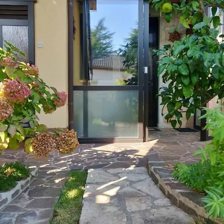 Tolles In Mit Grill- Terrasse Und Garten By Interhome Umag